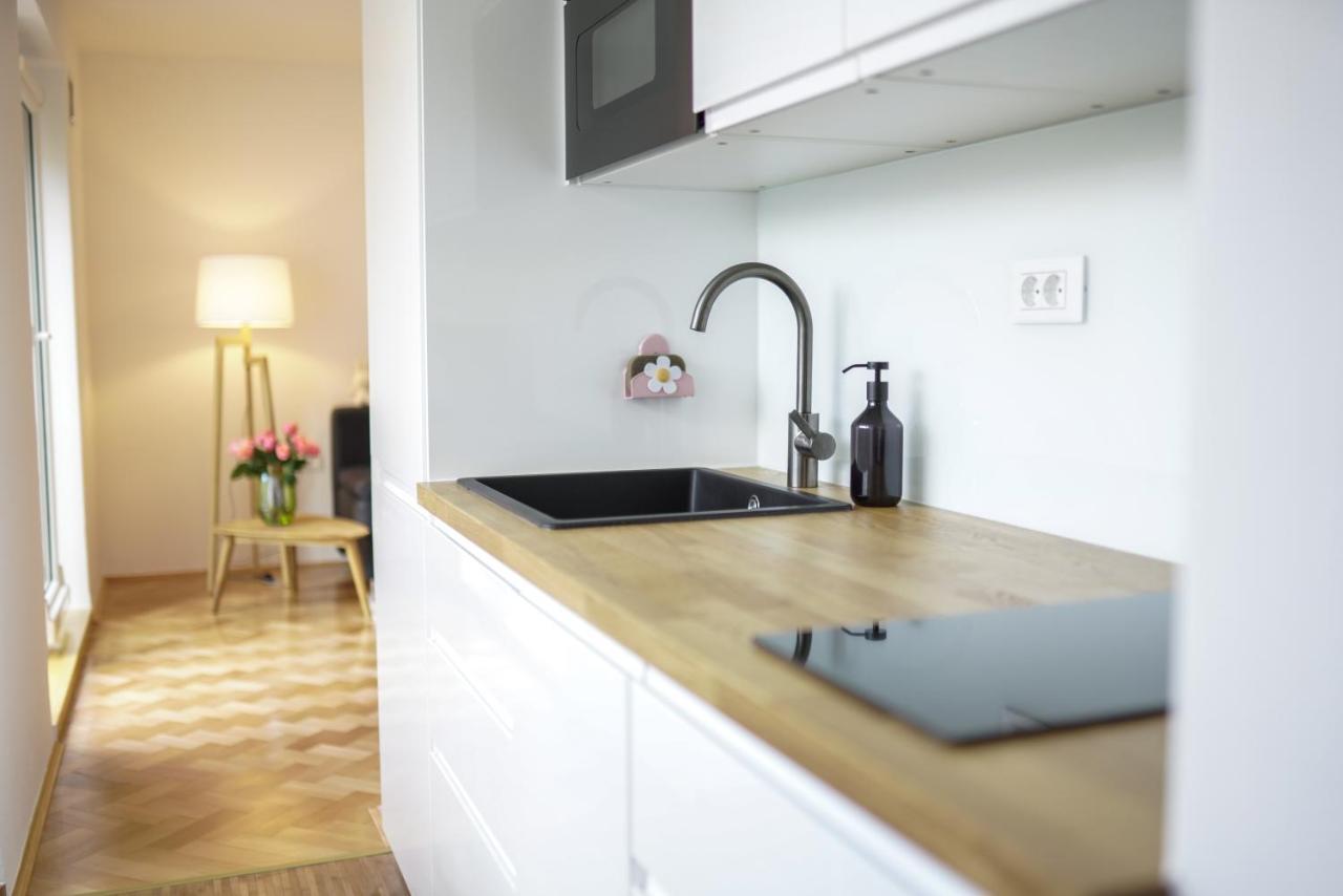 Bright Apartment Λιουμπλιάνα Εξωτερικό φωτογραφία